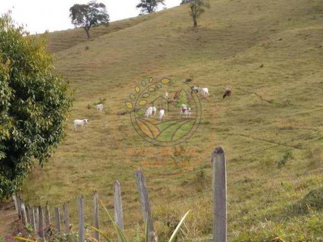 Sítio e chácara venda em Região Imediata de Cruzeiro, Região Metropolitana do Vale do Paraíba e Litoral Norte