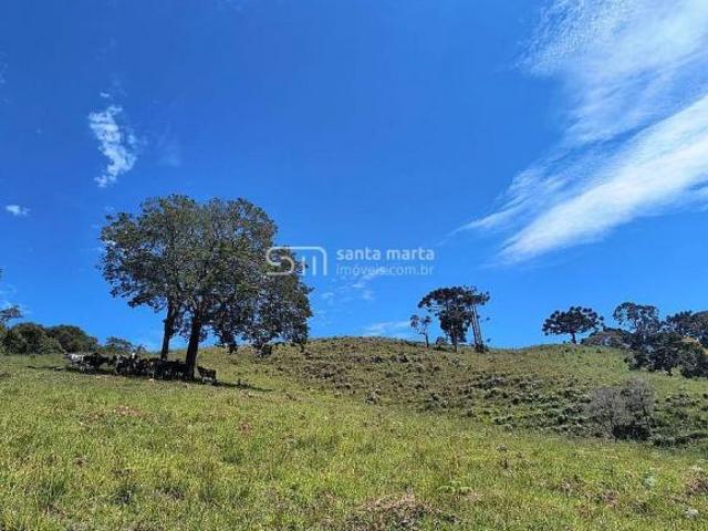 Sítio e chácara venda em Região Imediata de Cruzeiro, Região Metropolitana do Vale do Paraíba e Litoral Norte
