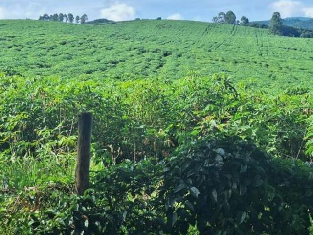 Sítio e chácara venda em Região Geográfica Imediata de Pouso Alegre, Silvianópolis