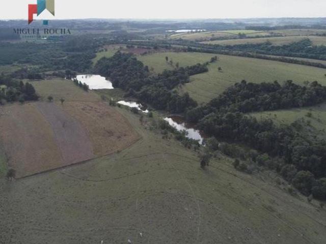 Sítio e chácara venda em Sorocaba