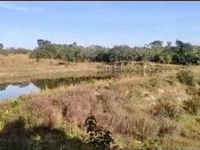 Sítio e chácara venda em Região Geográfica Imediata de Cuiabá, Região Metropolitana do Vale do Rio Cuiabá