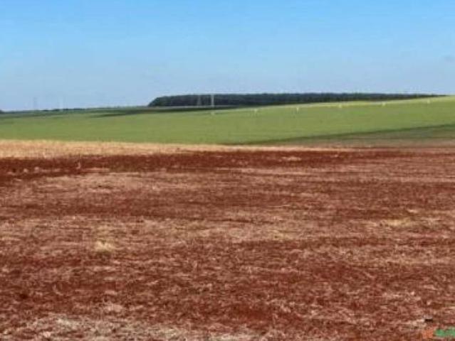 Sítio e chácara venda em Região Geográfica Imediata de Londrina, Tamarana
