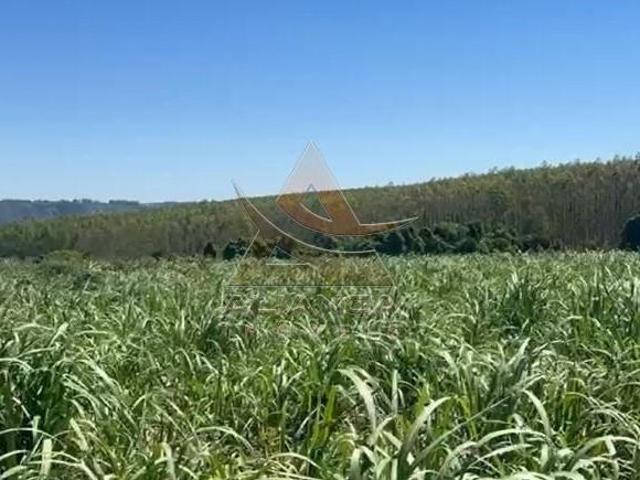 Sítio e chácara venda em Região Imediata de São João da Boa Vista, Região Metropolitana de Ribeirão Preto