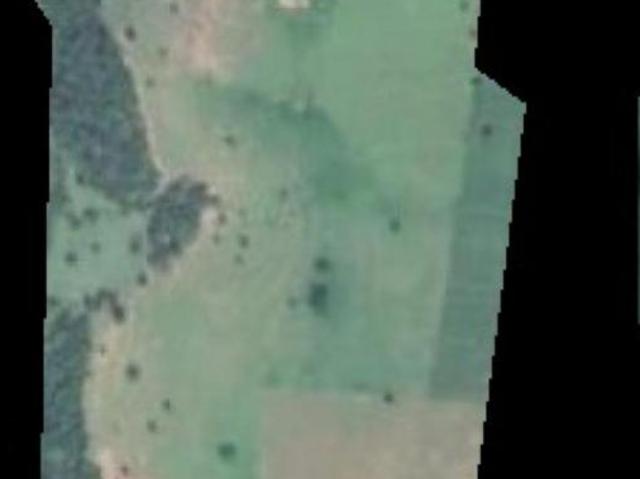 Sítio e chácara venda em Região Imediata de São José do Rio Preto, Região Metropolitana de São José do Rio Preto