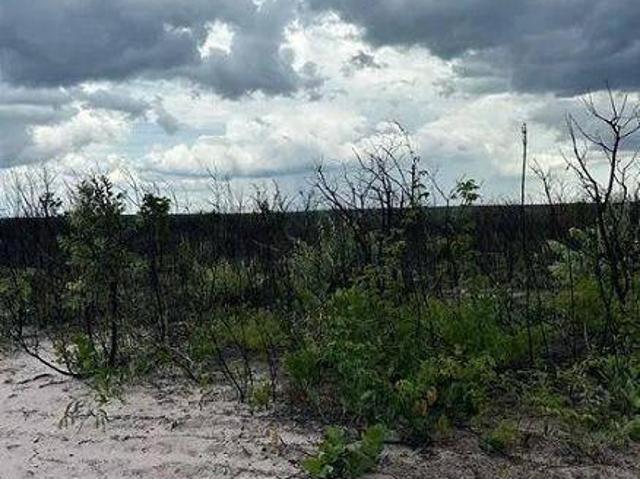 Sítio e chácara venda em Região Geográfica Imediata de Tangará da Serra, Tangará da Serra
