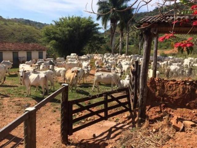Sítio e chácara venda em Região Imediata de São José do Rio Pardo-Mococa, Tapiratiba