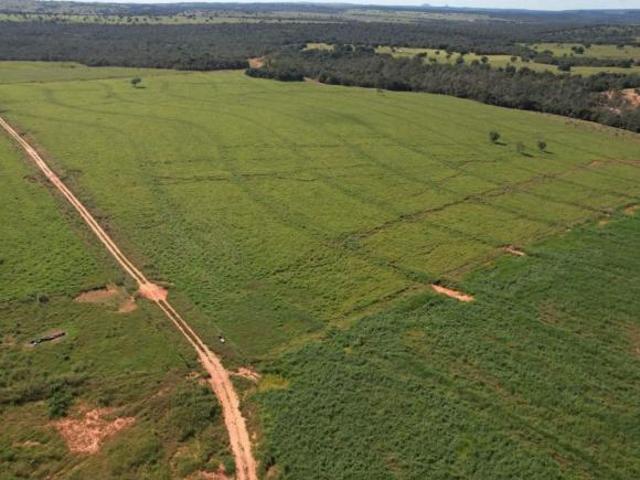 Sítio e chácara venda em Região Geográfica Imediata de Rondonópolis, Tesouro