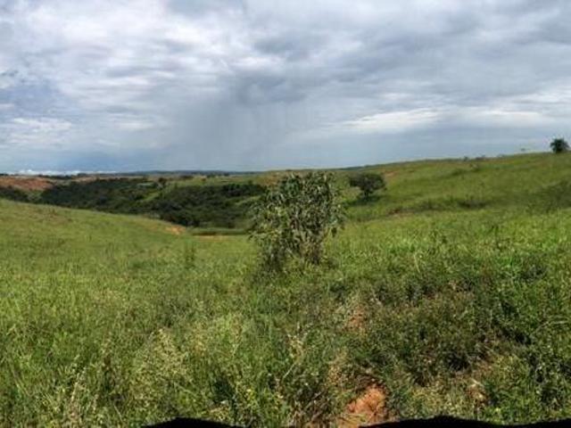 Sítio e chácara venda em Tiros, Região Geográfica Intermediária de Patos de Minas