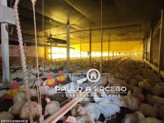 Sítio e chácara venda em Região Geográfica Imediata de Cascavel, Três Barras do Paraná