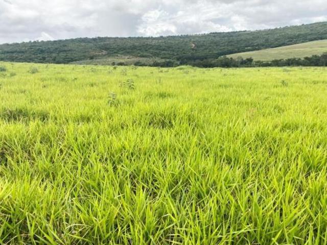 Sítio e chácara venda em Três Marias