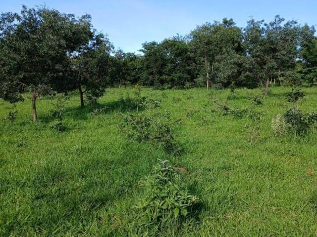 Sítio e chácara venda em Região Geográfica Imediata de Curvelo, Três Marias