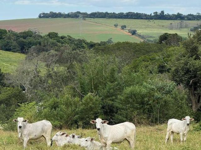Sítio e chácara venda em Região Imediata de Bragança Paulista, Tuiuti