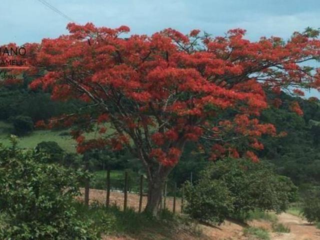 Sítio e chácara venda em Região Imediata de Bragança Paulista, Tuiuti