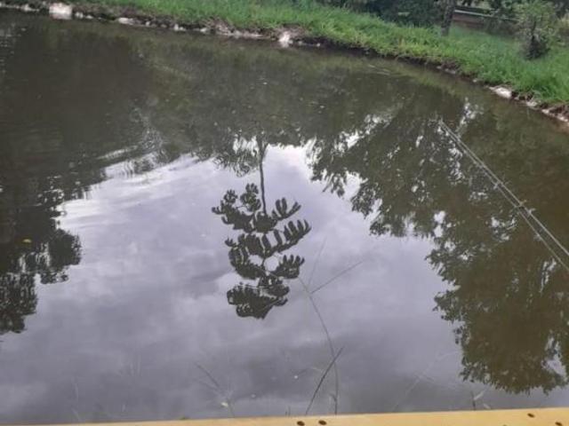 Sítio e chácara venda em Região Geográfica Imediata de Uberlândia, Oliveira Fortes