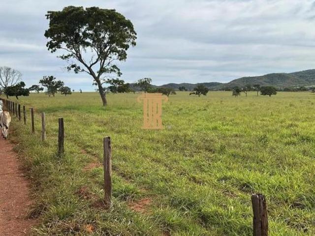 Sítio e chácara venda em Região Geográfica Imediata de Unaí, Região Integrada de Desenvolvimento do Distrito Federal e Entorno
