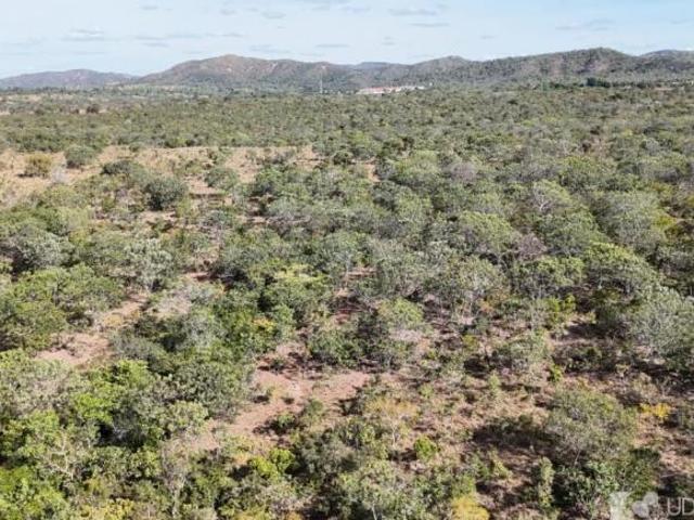 Sítio e chácara venda em Região Geográfica Imediata de Unaí, Região Integrada de Desenvolvimento do Distrito Federal e Entorno