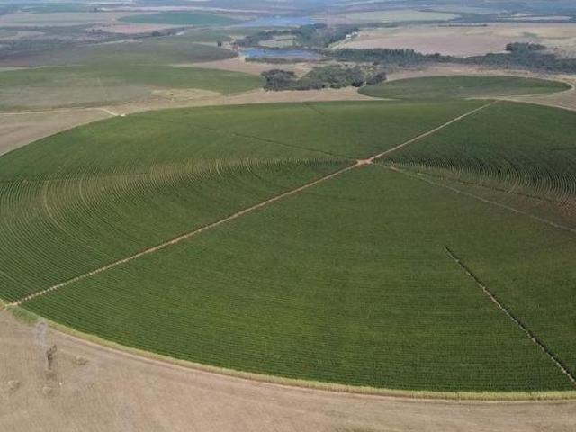 Sítio e chácara venda em Região Geográfica Imediata de Unaí, Região Integrada de Desenvolvimento do Distrito Federal e Entorno