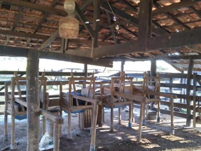 Sítio e chácara venda em Região Geográfica Imediata de Unaí, Região Integrada de Desenvolvimento do Distrito Federal e Entorno