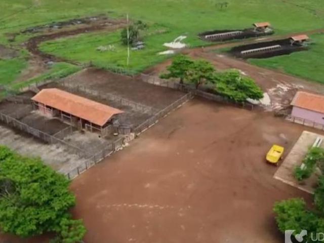 Sítio e chácara venda em Região Geográfica Imediata de Unaí, Região Integrada de Desenvolvimento do Distrito Federal e Entorno