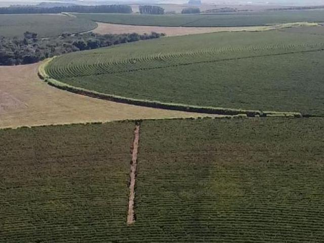 Sítio e chácara venda em Região Geográfica Imediata de Unaí, Região Integrada de Desenvolvimento do Distrito Federal e Entorno