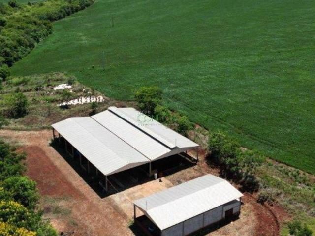 Sítio e chácara venda em Região Geográfica Imediata de Cornélio Procópio-Bandeirantes, Uraí