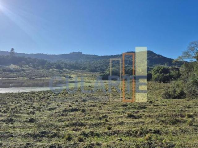 Sítio e chácara venda em Região Geográfica Imediata de Santa Cruz do Sul, Vale Verde