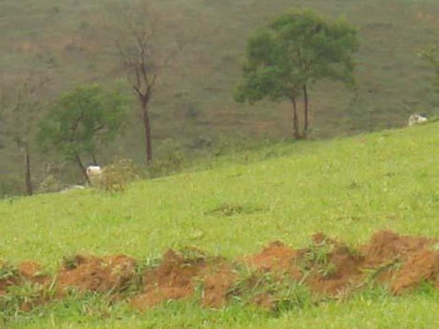 Sítio e chácara venda em Região Geográfica Imediata de Curvelo, Curvelo