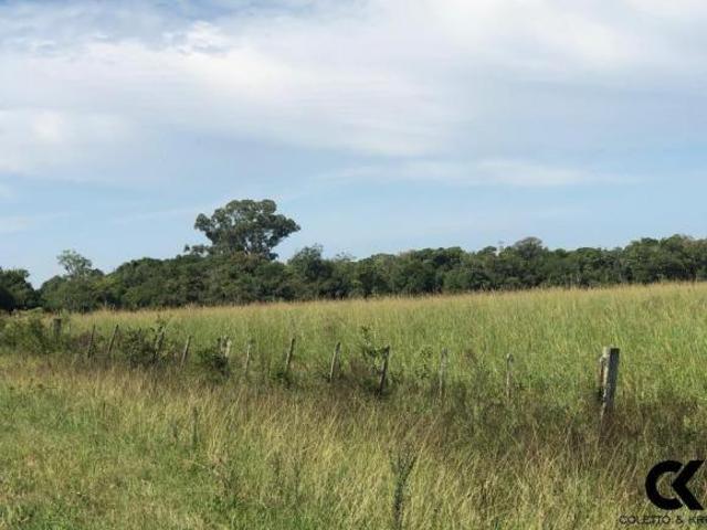 Sítio e chácara venda em Região Geográfica Imediata de Santa Cruz do Sul, Venancio Aires