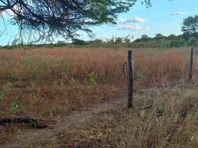 Sítio e chácara venda em Região Geográfica Imediata de Janaúba, Verdelândia