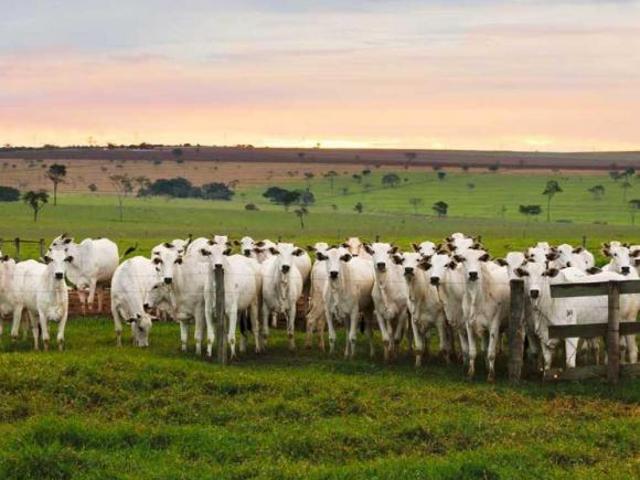 Sítio e chácara venda em Xambrê, Região Geográfica Intermediária de Maringá