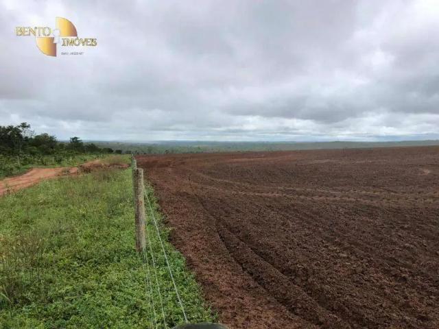 Fazenda venda em Cerejeiras, Região Norte