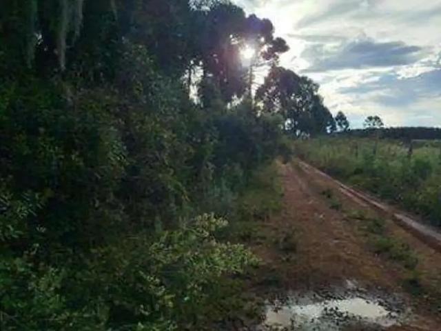 Fazenda venda em Região Geográfica Imediata de Lages, Cerro Negro