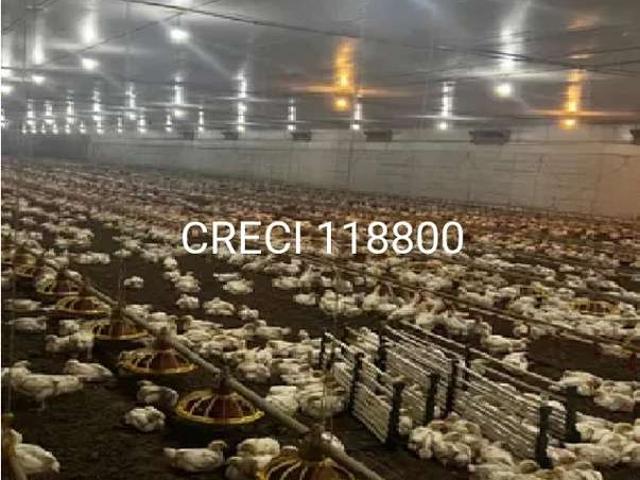 Fazenda venda em Região Imediata de Tatuí, Região Metropolitana de Sorocaba