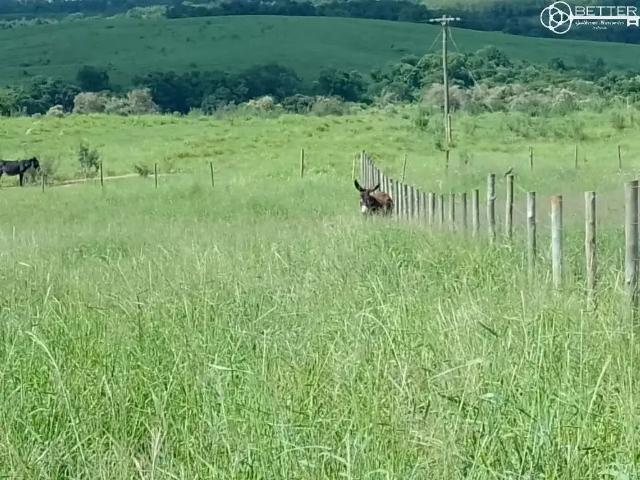 Fazenda venda em Cesário Lange, Região Geográfica Intermediária de Sorocaba