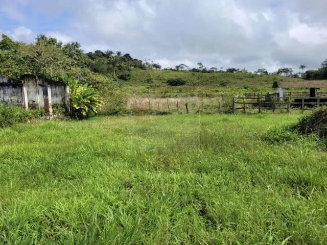 Fazenda venda em Região Geográfica Imediata de Caruaru, Chá Grande