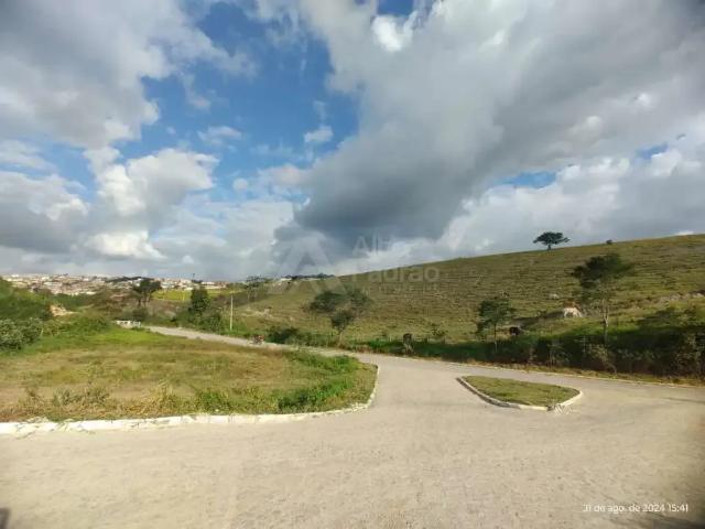 Fazenda venda em Região Geográfica Imediata de Caruaru, Chá Grande