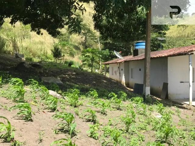 Fazenda venda em Região Geográfica Imediata de Caruaru, Chá Grande