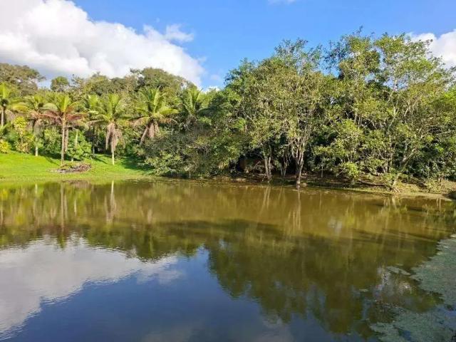 Fazenda venda em Região Geográfica Imediata de Caruaru, Chá Grande