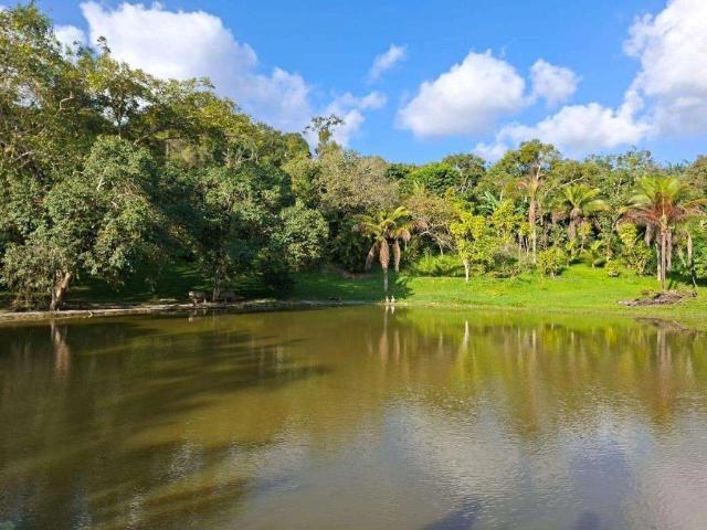Fazenda venda em Chã Grande