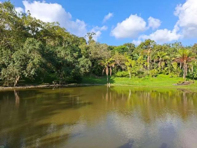Fazenda venda em Região Geográfica Imediata de Caruaru, Chá Grande