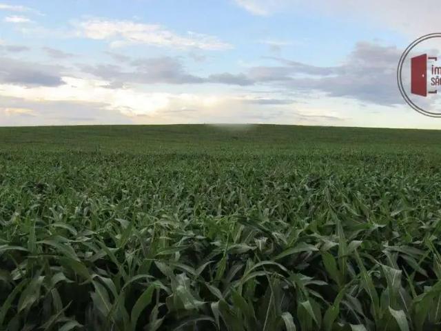 Fazenda venda em Região Geográfica Imediata de Jataí-Mineiros, Chapadão do Céu
