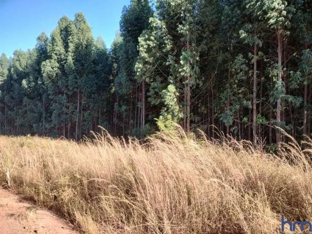 Fazenda venda em Região Geográfica Imediata de Jataí-Mineiros, Chapadão do Céu