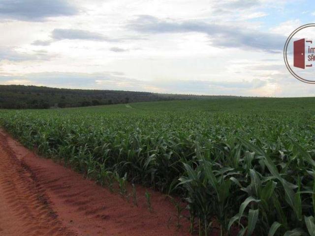 Fazenda venda em Região Geográfica Imediata de Jataí-Mineiros, Chapadão do Céu