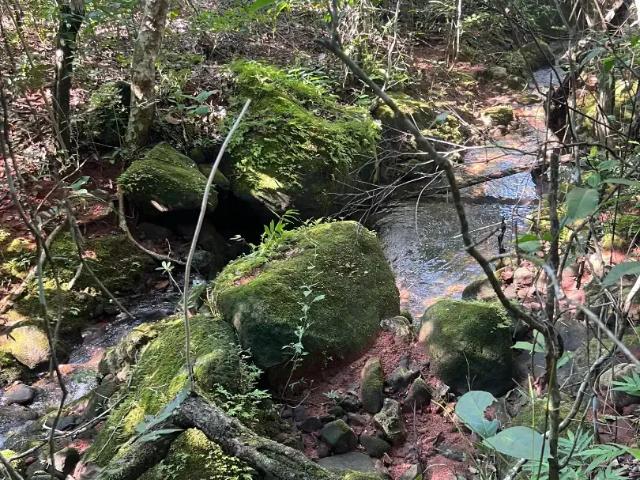 Fazenda venda em Região Geográfica Imediata de Cuiabá, Região Metropolitana do Vale do Rio Cuiabá