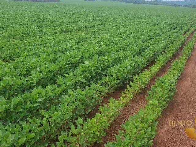 Fazenda venda em Região Geográfica Imediata de Cuiabá, Região Metropolitana do Vale do Rio Cuiabá
