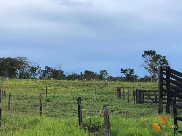 Fazenda venda em Região Geográfica Imediata de Cuiabá, Região Metropolitana do Vale do Rio Cuiabá