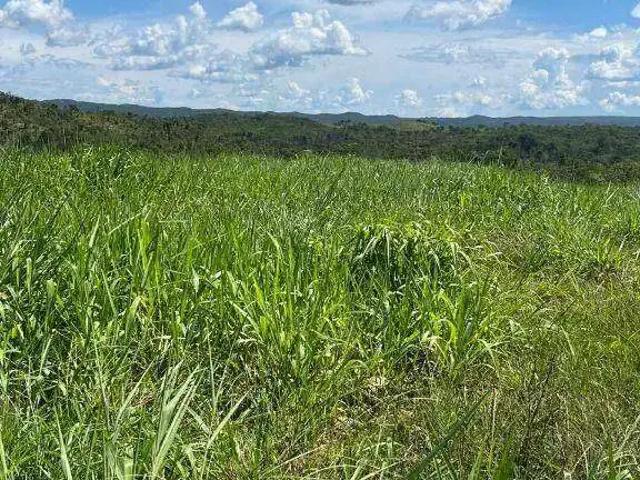 Fazenda venda em Região Geográfica Imediata de Cuiabá, Região Metropolitana do Vale do Rio Cuiabá