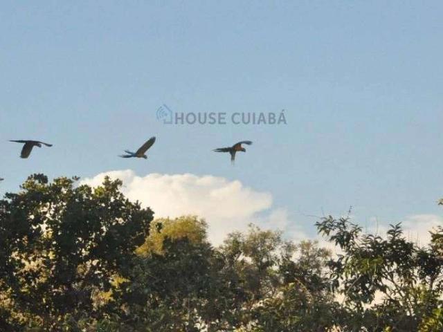 Fazenda venda em Chapada dos Guimarães, Região Geográfica Intermediária de Cuiabá