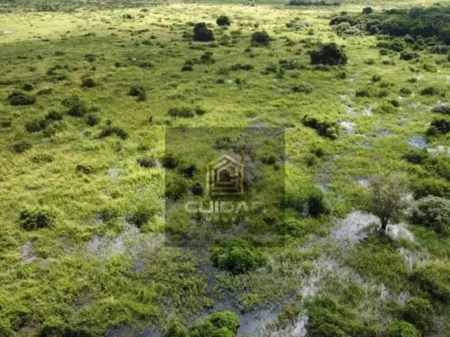Fazenda venda em Região Geográfica Imediata de Cuiabá, Região Metropolitana do Vale do Rio Cuiabá
