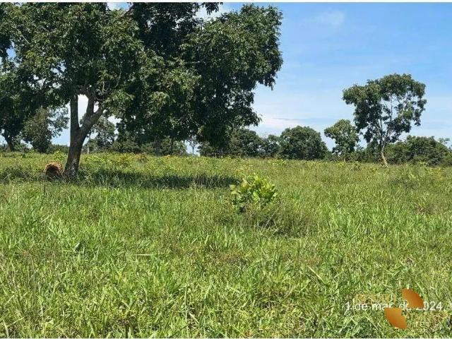Fazenda venda em Região Geográfica Imediata de Cuiabá, Região Metropolitana do Vale do Rio Cuiabá